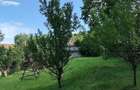Teren de 1213 mp, în Teșila - 4