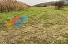 Teren intravilan 2402 mp, cu utilitati, zona Sopor/Borhanci - 3