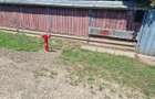 Teren Lunca Siret 2.75 Ha - 12
