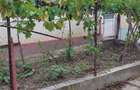 Casă cu 4 camere în Cohani - 4