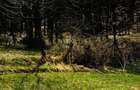 Vand teren intravilan - 2
