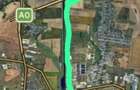 vand teren Pallady Glina pallady 353 loturi casa glina super pozitie zona rezidentiala - 10