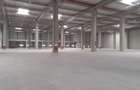Depozite construite conform cerintelor / Warehouses build to suit - 1