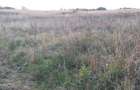 Vand teren extravilan - 3
