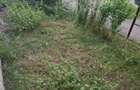 Vand APARTAMENT 2 camere VIZIRU 1 zona ALBINA - 2