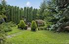 Direct Proprietar Terenuri Construibile Penteu Case De Vacanta de Vanzare Sinaia-Busteni 2200 mp Vedere Panoramica neperturbata - 7