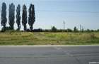 Vand teren intravilan cc, 2400mp aleea Sinaia, Aninoasa - 3