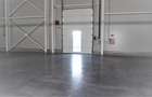 Spațiu industrial, de 4,400 mp, în Cernica - 9