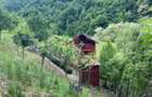Casa de vacanta cu 4 camere, 1470 mp teren, Sugag - 2