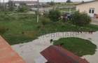 Ferma Zootehnică Mixtă – Cernateaz, Timiș | 9,5 ha | Hale Moderne, Casă 2019, va - 15