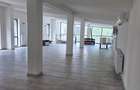 Spațiu comercial P+1, 391.5 mp, dublă deschidere, zona Bals - 9