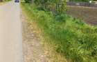Vand teren intravilan 3800 mp Stanesti judetul Giurgiu - 5