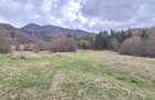 Teren agricol extravilan de 11300 mp, în Cheișoara - 1