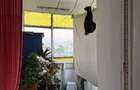Vand apartament 3 camere - 6