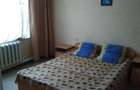 Apartament cu 2 camere de inchiriat in zona Nicolae Grigorescu - 5