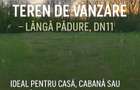 Teren ideal pentru casa de vacanta sau locuinta permanenta, la marginea padurii - 9