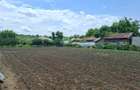 Teren intravilan 1915 mp - 7
