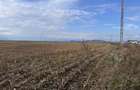 Teren Construcții de 52000 mp, în Tărlungeni - 1