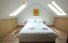 Apartament tip duplex in Sinaia - 10