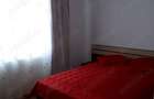 Apartament cu 2 camere în Broșteni - 8