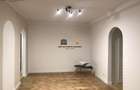 Apartament cu 2 camere semidecomandat în Dorobanți - 5