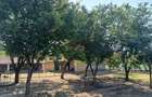 Casă cu 4 camere în Lița - 5