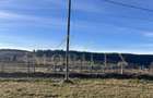 Teren de 4500 mp , zona linistita in Marisel
