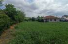 Case de vanzare,Satu Nou comuna Cretesti, judetul Vaslui - 2