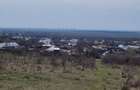 Vand Teren Viticol intravilan/extravilan 3,5 Ha - 4