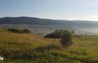 Teren intravilan 1000 mp, cu PUZ, zona platoului Radaia - 5