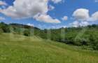 Teren extravilan de 28500 mp, în Gușterița - 1