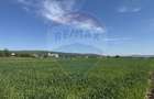 Teren Construcții intravilan de 1400 mp, în Livada (Iclod) - 11