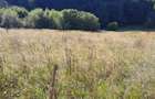 Teren Intravilan | Schitu Tarcau | 2089MP | Izvor | Platou - 2