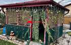 Casa de inchiriat Campina | Curte 481 mp | 0% comision - 11