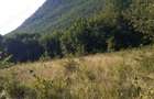 Teren de 700 mp, în Roșcani - 2