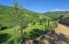 Teren intravilan Muntele Rece | 1.812 mp | Priveliste panoramica - 3