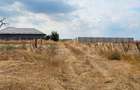 Teren intravilan de 8000 mp, în Șimnicu de Sus - 1