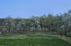 Casa cu teren de vanzare - 4