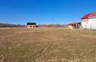 Teren Construcții intravilan de 1000 mp, în Săbolciu - 1