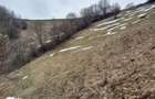 Teren de 19000 mp, în Moieciu - 3