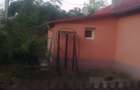 Casa de vanzare, com. Axintele sat Frumu?ica jud.Ialomi?a, 60 km de Bucure?ti - 9