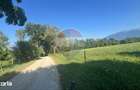Teren 3,000mp Predelut / Strada Pe Tarina