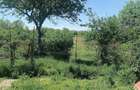 casa de vinzare + teren 4601m2 - 1