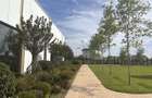 3 Camere | 2 Bai | Parc Privat 6.000 mp | Dezvoltator | - 2