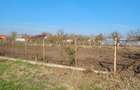 Vand teren intravilan in Sanpetru Mare jud.Timi? - 1