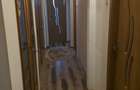 Apartament 3 camere, decomandat, central - 6