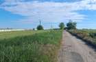 Teren agricol 1000mp, acces asfaltat, 35.000 EUR - 1