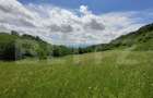 Teren extravilan de 28500 mp, în Gușterița - 3