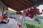 Casa 75mp + Teren 900mp, Str. Principala, Telesti, Gorj - 4