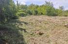 Vand teren 2000mp + constructie , sat 7 Case, comuna Costesti, Jud Vaslui - 9